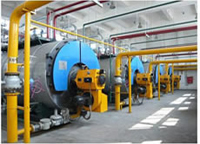 俄羅斯紅(hóng)澳洲燃氣鍋爐